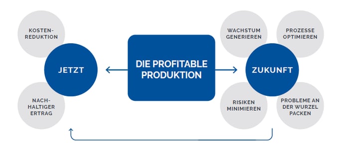 Die-profitable-Produktion