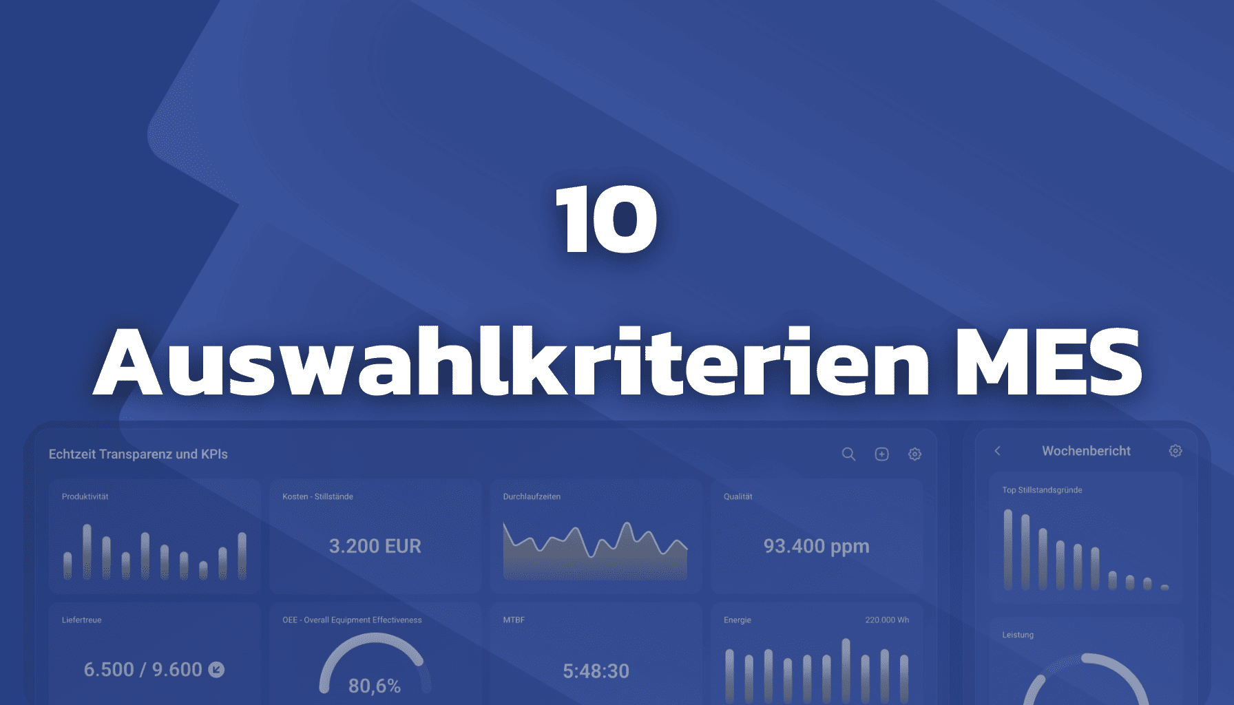 10-auswahlkriterien-für-ihr-mes