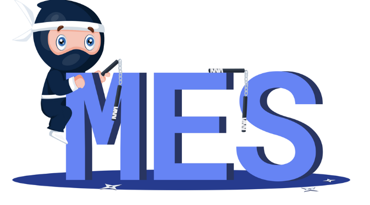 MES