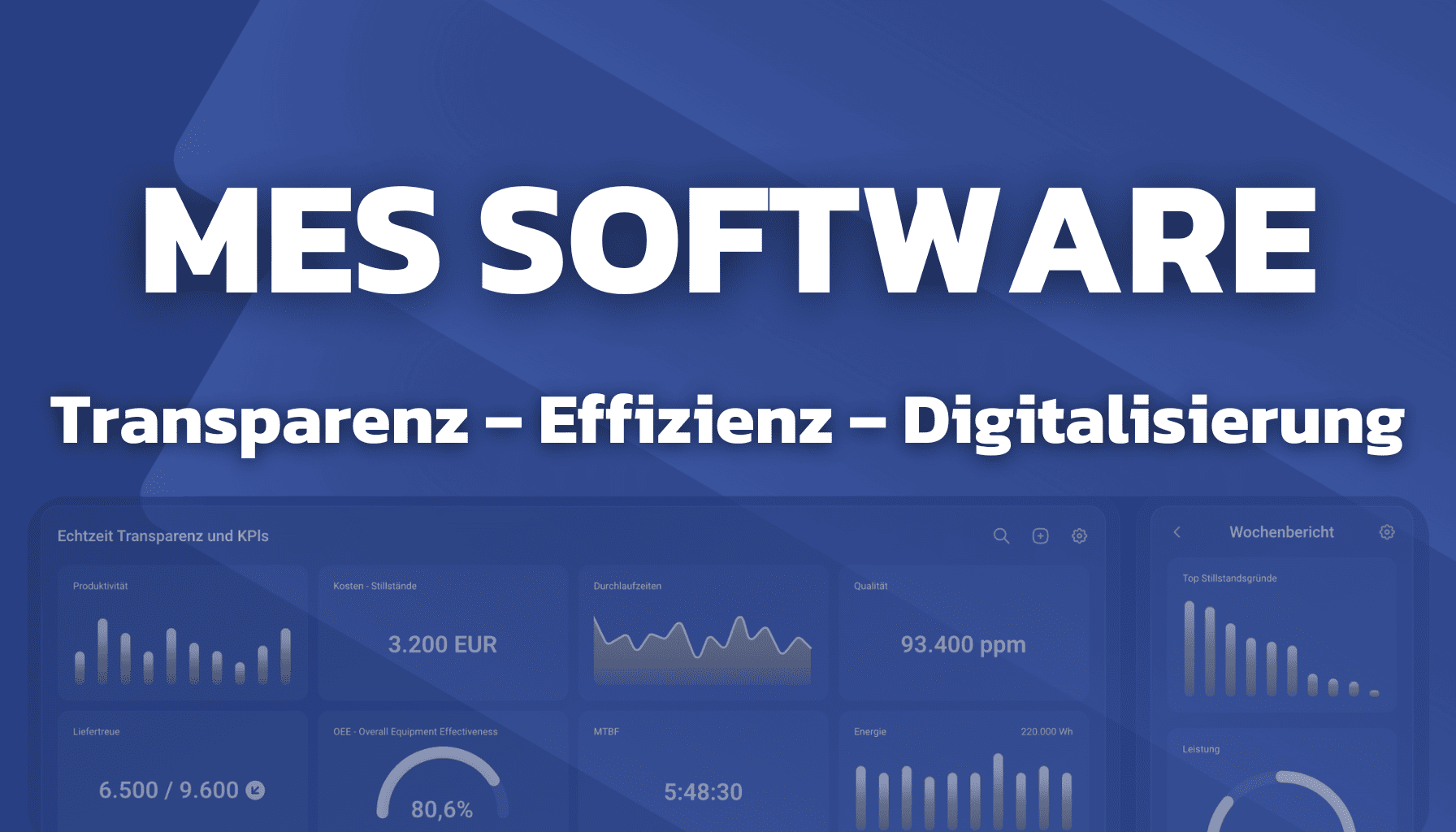 mes-software